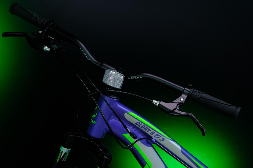 LORAK GLORY 9 Матовый Фиолетовый рама 15 (на рост 141-160)